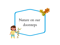 Nature On Our Doorsteps